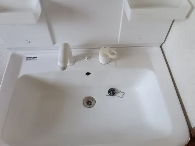 洗面所清掃サービスの画像