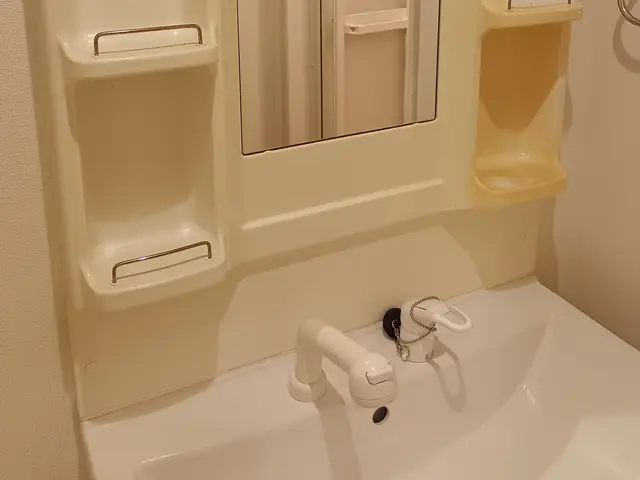 洗面所清掃サービスの画像