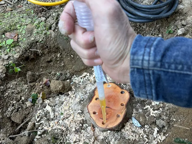 伐採・伐根作業サービスの画像