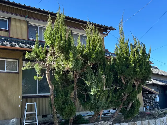 伐採・伐根作業サービスの画像