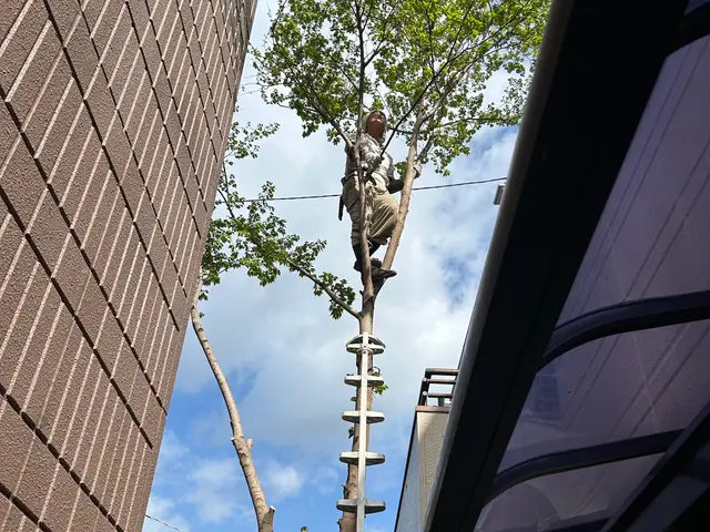 伐採・伐根作業サービスの画像