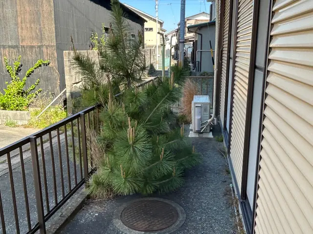 伐採・伐根作業サービスの画像