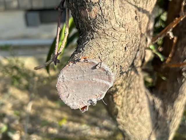 伐採・伐根作業サービスの画像