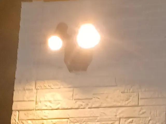 プロの技術でお客様がご満足いただけるように心を込めて作業いたします！サービスの画像