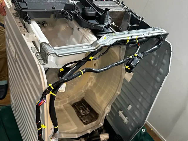 ドラム式洗濯機、分解洗浄　★乾燥の時間が長くなれば掃除のサインです！サービスの画像