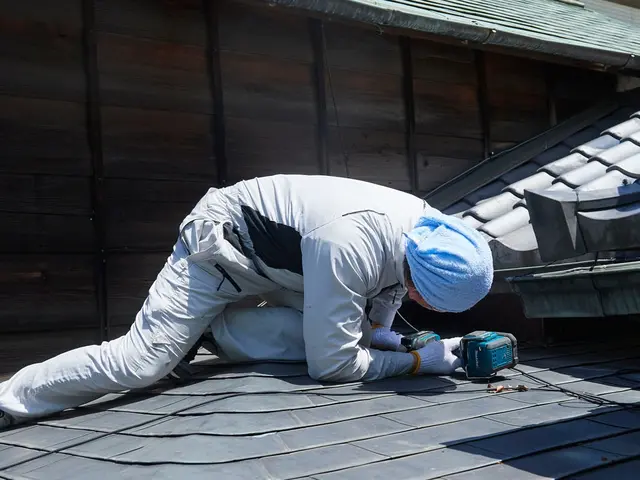【見積受付中】実績・口コミ数第１位！ネズミ駆除は専門業者のホームスターへサービスの画像