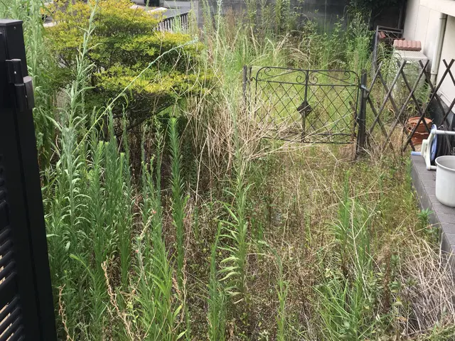 お庭、墓地の除草作業「草刈り機使用」お見積り無料です。お気軽にご相談下さい！！サービスの画像