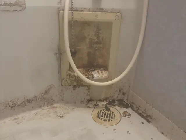 ◤水回り清掃実績1000件超え◢滋賀県密着・丁寧・迅速・明瞭会計★サービスの画像