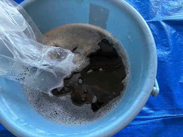 業界歴9年、4500台以上実績あり、抗菌コート無料施行★11月もお得価格で★サービスの画像