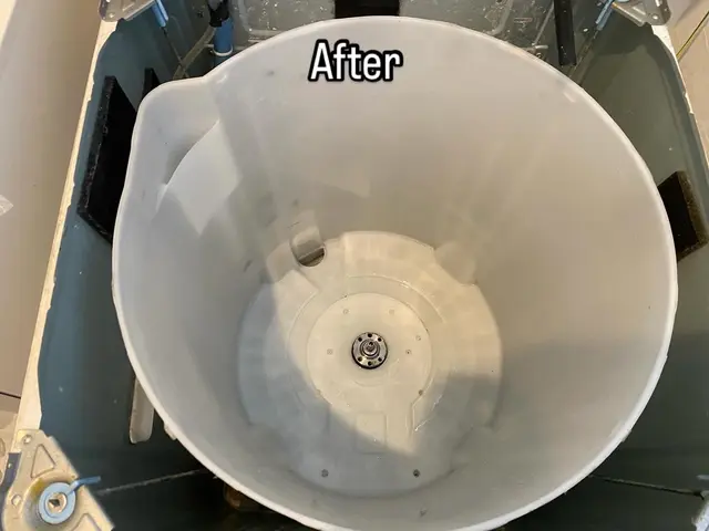 洗濯槽クリーナープレゼントは『空白』3Rだけ！しかも洗濯機洗浄だけじゃない！サービスの画像