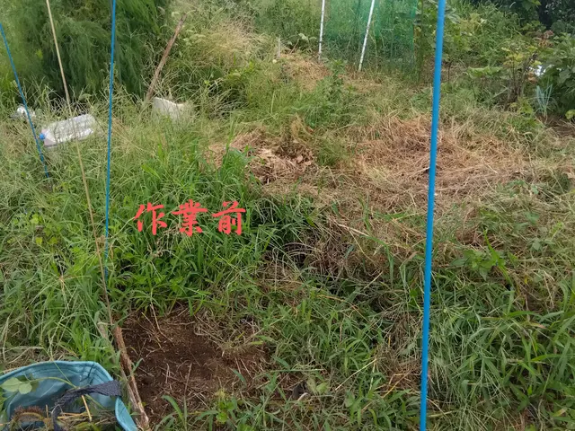 庭や家のトータルサポートサービスの画像