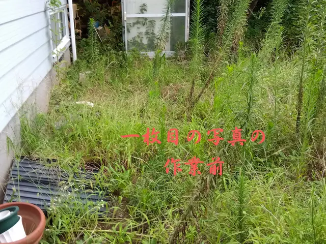 庭や家のトータルサポートサービスの画像