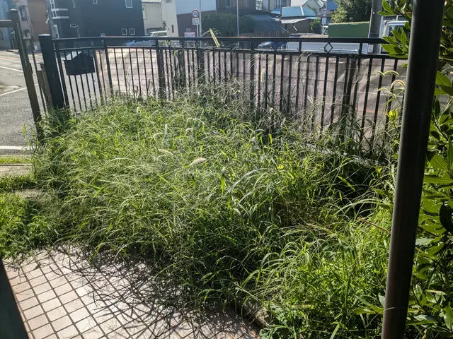 ◆〜10㎡1万円　◆〜20㎡1.5万円　◆20㎡以上は10㎡あたり7.5千円！サービスの画像