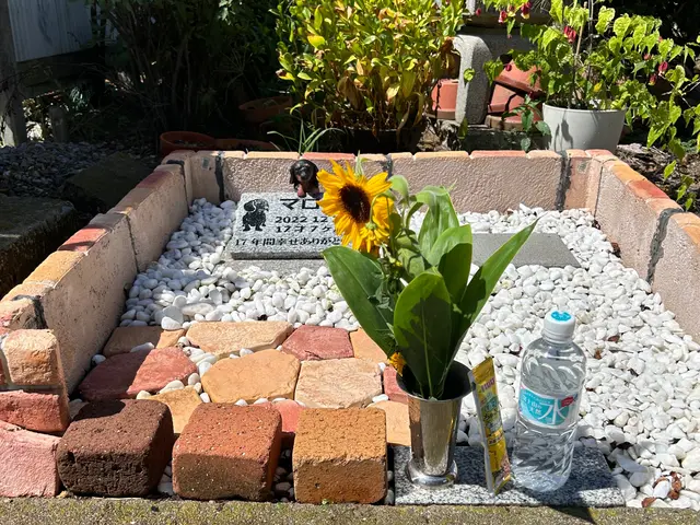 【千葉県　茨城県　埼玉県】お墓参り代行致します。真心込めて代行させて頂きまサービスの画像