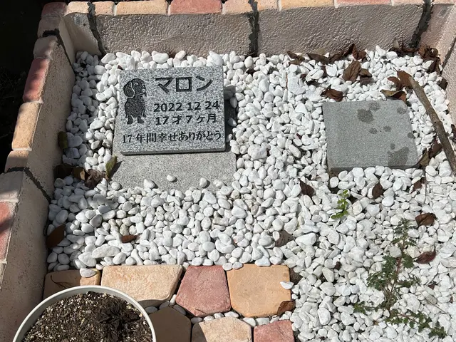 【千葉県　茨城県　埼玉県】お墓参り代行致します。真心込めて代行させて頂きまサービスの画像