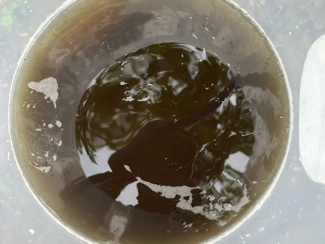 嫌な匂いやカビを徹底洗浄！エアコンクリーニング！2台目以降割引キャンペーン実施中サービスの画像