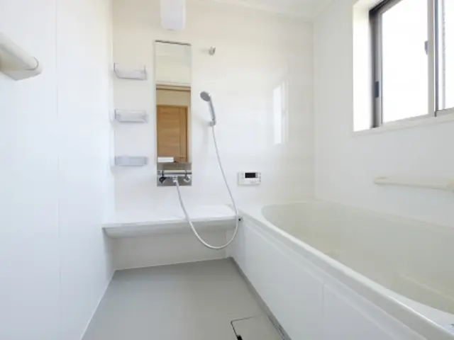 【受付中】浴室のカビを撃退、石鹸カス除去、水垢すっきり！エプロン内部洗浄付きサービスの画像