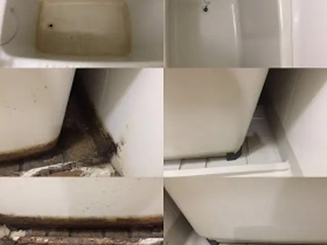 【受付中】浴室のカビを撃退、石鹸カス除去、水垢すっきり！エプロン内部洗浄付きサービスの画像