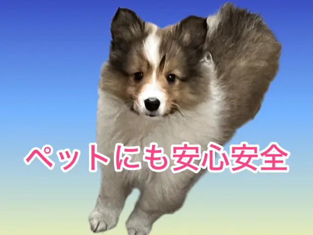 ❈パナソニック・日立❈  落下物のみ対応可能 即日対応　乾燥不良改善ฅ•ﻌ•サービスの画像