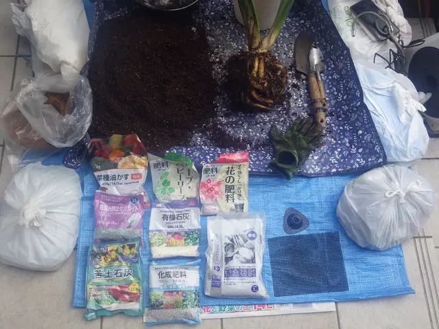 歴60年のベテラン庭師が対応。庭木の事ならなんでもご相談くださいサービスの画像