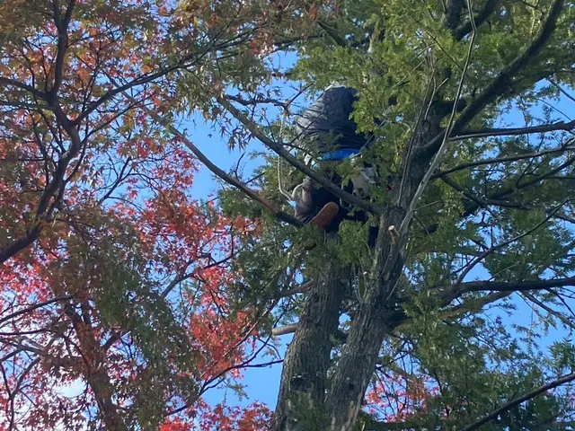 お客様のお力になります！経験と知識を活かして迅速丁寧に作業いたします！サービスの画像