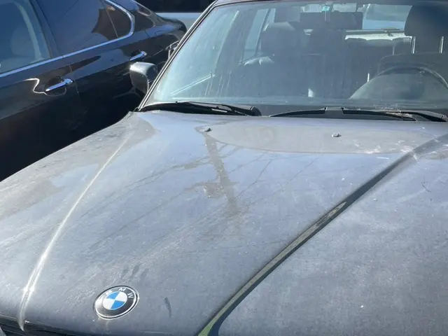 1500台以上の実績！愛車を新車の輝きに蘇らせる匠の技サービスの画像