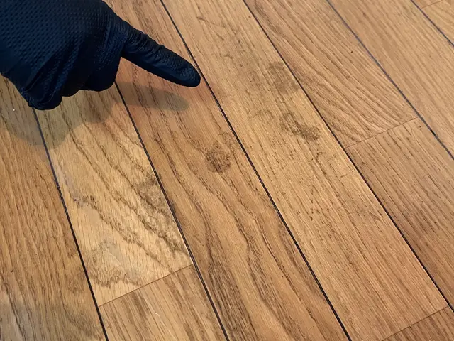 女性スタッフの同行OK◎作業外注一切なし◎当社スタッフがすべてご対応！サービスの画像