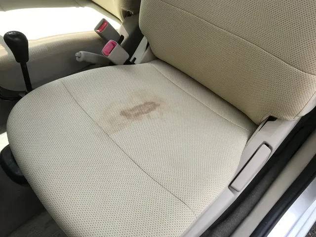 【車内清掃】女性スタッフ同行作業OK◎　経験豊富な自社スタッフが伺います！サービスの画像