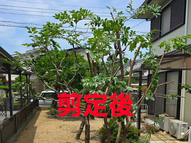 【造園業20年☆庭園管理士】樹木のその時の状態に適した施工を行います。サービスの画像