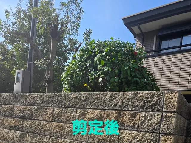 【造園業20年☆庭園管理士】樹木のその時の状態に適した施工を行います。サービスの画像