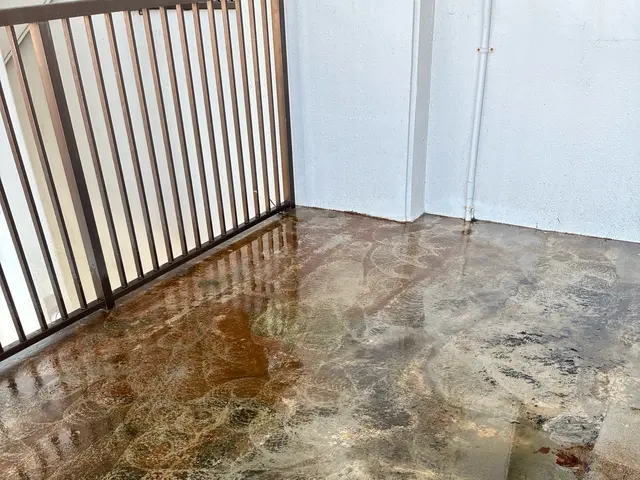 ハウスダストアレルギー経験者だからこそできる、綺麗な空間作り！サービスの画像