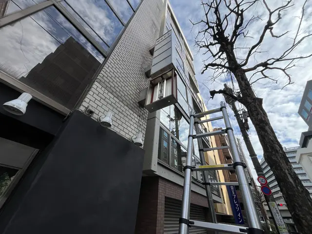 高所の電球交換&高所の照明器具設置!!丁寧かつスピーディーに!!サービスの画像