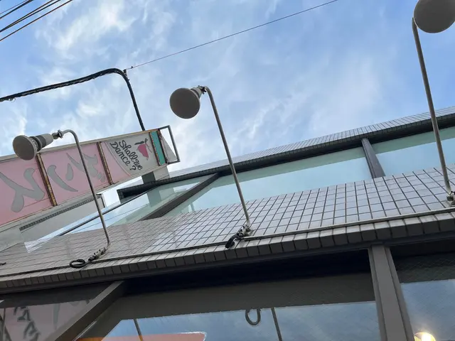 高所の電球交換&高所の照明器具設置!!丁寧かつスピーディーに!!サービスの画像