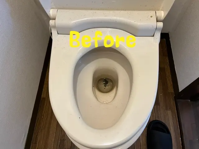 トイレクリーニングサービスの画像