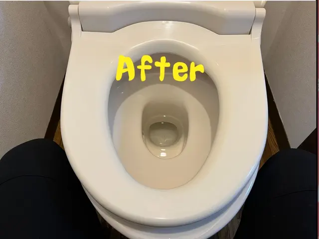 トイレクリーニングサービスの画像