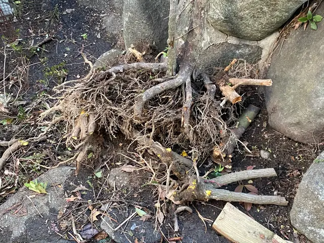 すべて自社対応◎訪問時の駐車場代は当店が負担します！サービスの画像