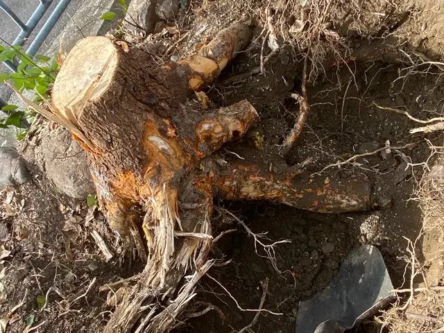 すべて自社対応◎訪問時の駐車場代は当店が負担します！サービスの画像