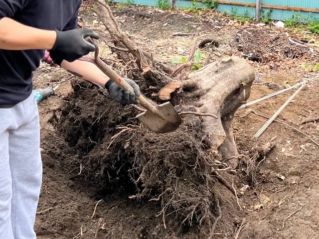 すべて自社対応◎訪問時の駐車場代は当店が負担します！サービスの画像