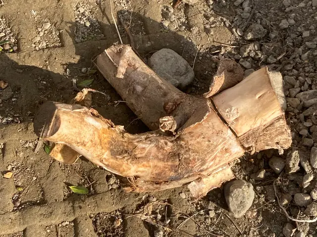 すべて自社対応◎訪問時の駐車場代は当店が負担します！サービスの画像