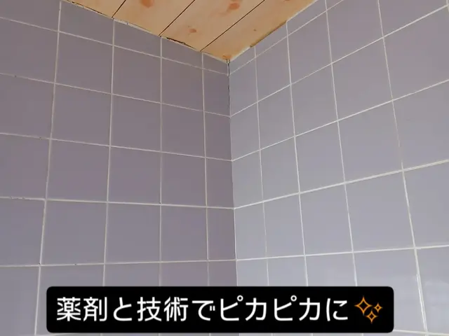 浴室クリーニング【女性スタッフ必ず同行】大手清掃会社勤務経験有りサービスの画像