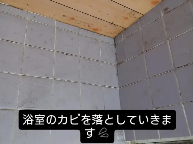 浴室クリーニング【女性スタッフ必ず同行】大手清掃会社勤務経験有りサービスの画像