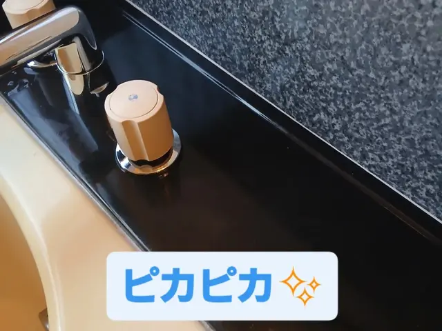 浴室クリーニング【女性スタッフ必ず同行】大手清掃会社勤務経験有りサービスの画像