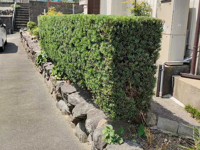 【親切・丁寧】サービスの画像