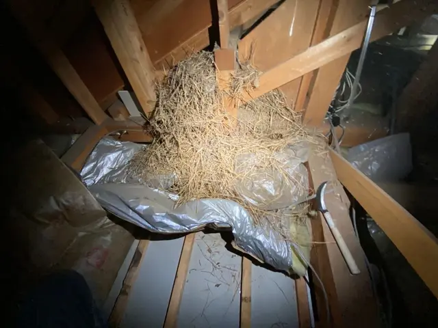 《年中無休》作業外注一切なし◎太陽光対策も可能！ぜひ当店にお任せください！！サービスの画像