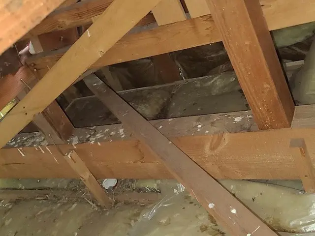 《年中無休》作業外注一切なし◎太陽光対策も可能！ぜひ当店にお任せください！！サービスの画像