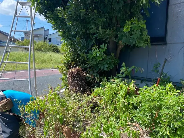 草刈りします！お家のお庭、農地、商業地などお客様のニーズに合わせて丁寧な対応！サービスの画像