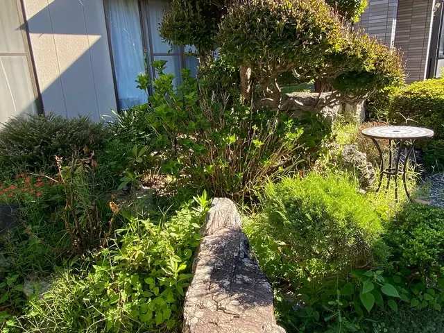 草刈りします！お家のお庭、農地、商業地などお客様のニーズに合わせて丁寧な対応！サービスの画像