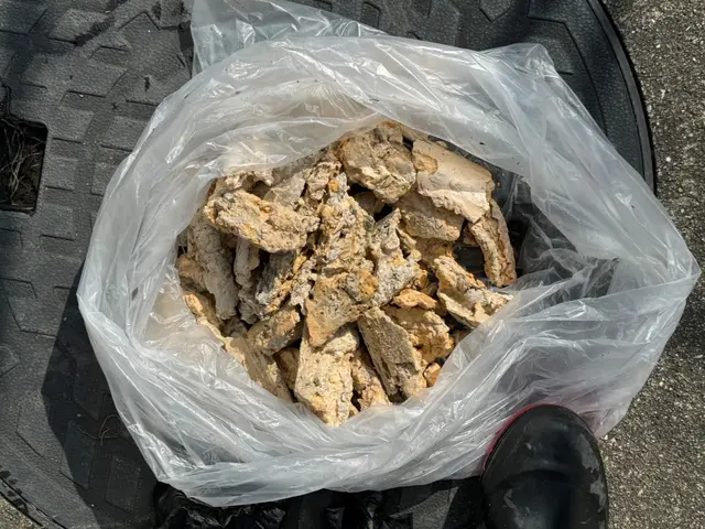 ‪☆室内1箇所無料‪☆女性スタッフ同行可！サービスの画像