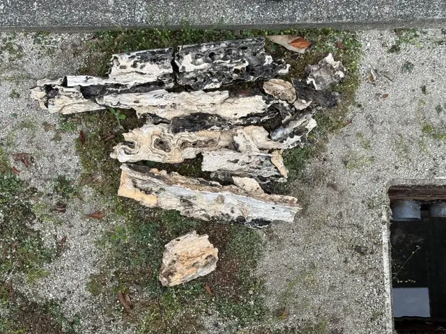 ‪☆室内1箇所無料‪☆女性スタッフ同行可！サービスの画像