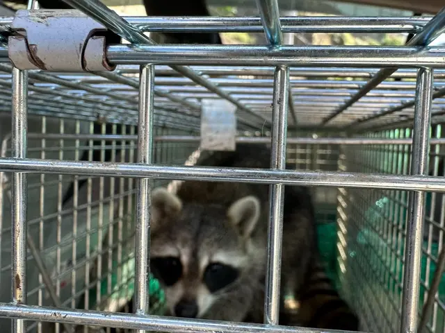 《害獣駆除歴10年》侵入口を徹底封鎖します◎さらに施工後の保証付きで安心◎サービスの画像